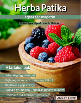 Egy tál friss bogyós gyümölcs és mentalevél, magyar egészségügyi magazin fejlécével és cikklistájával.