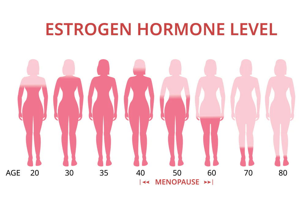 20 és 80 év közötti nők sziluettjei, „ÖSZTROGÉN HORMONSZINT” felirattal és a menopauza jelzésével.